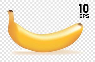 design a banana. frutta tropicale. vettore