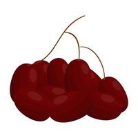 ovale uva, uva siamo dolce, gustoso e rinfrescante frutta quello contenere bene benefici per Salute vettore