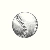 baseball softball vettore illustrazione nel nero. dettagliato Vintage ▾ stile disegno