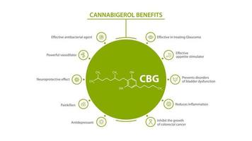 poster informativo bianco dei benefici del cannabigerolo con benefici con icone e formula chimica del cannabigerolo vettore