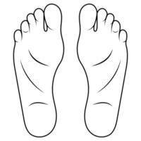 uomo piede disegno cartone animato, scarpa dimensione piede anatomia umano suola vettore