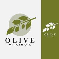 oliva pianta logo modello. oliva ramo albero vergine olio vettore illustrazione.