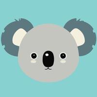 Comune koala erbivoro mammifero animale viso vettore