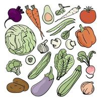 vegetariano ingredienti paleo dieta menù vettore illustrazione impostato