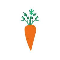carota con stelo. utile verdura nel piatto stile. carota icon.healthy pasto. vegetariano cibo. vettore illustrazione di un' carota con un' bianca isolato sfondo.