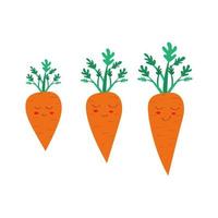 carino carota. carota crescita ciclo. impostato di carote con gambo nel piatto stile.cartone animato carota. piatto vettore illustrazione isolato. salutare pasto. vegetariano cibo.