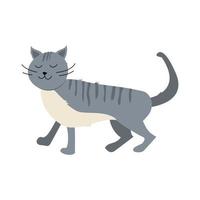 vettore illustrazione con carino gatto. grigio gatto nel piatto stile.