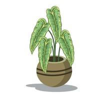 alocasia endemik su pentola vettore design