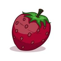 mano disegnato tropicale fragola frutta vettore