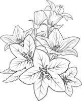 campanula disegno, un' ramo di il botanico primavera collezione, inchiostro illustrazione vettore arte di campanula disegno facile, mazzo disegnato a mano artisticamente, zentangle tatuaggio, facile fiore colorazione pagine.