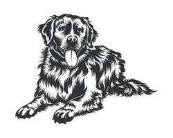 bernese montagna cane vettore illustrazione, cane vettore nero su bianca sfondo