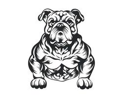 nero e bianca corpo costruttore bulldog vettore illustrazione, corpo costruttore cane vettore