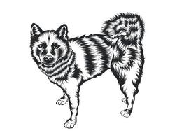 shiba inu cane vettore illustrazione, shiba inu razza vettore su bianca sfondo per maglietta , logo e altri