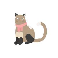 divertente gatto nel un' sciarpa, animale domestico vettore illustrazione isolato. siamese gatto