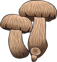 mano disegnato schizzo stile fresco Fram funghi composizioni impostare. champignons, Ostriche, finferli e porcini funghi. biologico eco crudo cibo vettore illustrazioni isolato su bianca sfondo.