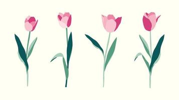 set di tulipani fiori disegnati a mano illustrazione su sfondo bianco vettore