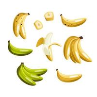 giallo e verde banane colorato piatto vettore illustrazioni impostare. esotico, tropicale frutta isolato su bianca sfondo. pelato e affettato e totale Banana. fresco vegetariano salutare cibo con vitamine.