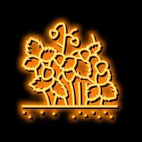 fragola cespuglio pianta neon splendore icona illustrazione vettore