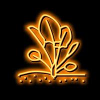 pianta spinaci in crescita neon splendore icona illustrazione vettore