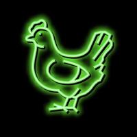 pollo uccello neon splendore icona illustrazione vettore