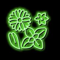 fiori fitoterapia neon splendore icona illustrazione vettore