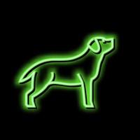 labrador cane da riporto cane neon splendore icona illustrazione vettore