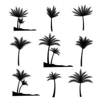 impostato di mano disegnato palma albero le foglie vettore, estate palma spiaggia albero pianta tropicale alberi, natura le foglie silhouette per estate albero grafico simbolo, icona per maglietta, manifesto, striscione, design elementi vettore