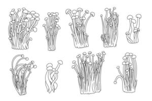 semplice linea impostato di asiatico cibo. enoki funghi è buongustaio, medico, Cinese nutrizione. vettore grafico collezione di salutare fungo.