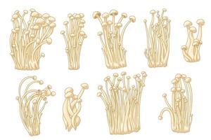 colorato enoki collezione. vettore illustrazione di asiatico fungo. medico buongustaio asiatico cibo. impostato di salutare fungo per vegetariani