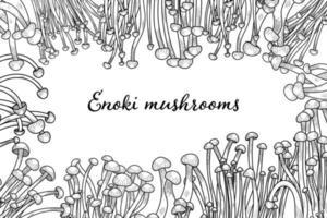 Vintage ▾ enoki telaio nel schema stile. naturale asiatico fungo. vettore illustrazione di cibo