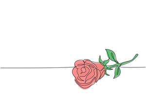 disegno a linea continua di un bellissimo fiore di rosa romantico fresco. biglietto di auguri dinamico, invito, logo, banner, poster concept una linea disegnare grafica vettoriale illustrazione