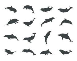 delfino sagome, salto delfini silhouette, delfino vettore