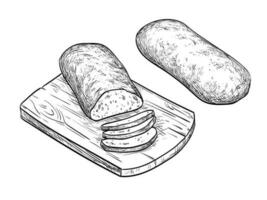 mano disegnato vettore illustrazione di Ciabatta pane. isolato su bianca sfondo. Vintage ▾ stile.