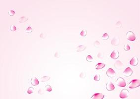 rosa sfondo bianco petali di rosa stanno cadendo nell'aria per tema bellezza e cosmetici o amore romantico disegno vettoriale