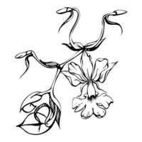 mano disegnato vettore inchiostro orchidea fiori e rami, monocromo, dettagliato schema. cerchio ghirlanda composizione. isolato su bianca sfondo. design per parete arte, nozze, Stampa, tatuaggio, coperchio, carta.