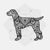 mandala di cane. elementi decorativi vintage. modello orientale, illustrazione vettoriale. vettore