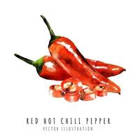 rosso caldo chili Pepe fetta mano disegnato acquerello pittura isolato su bianca sfondo vettore