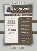 creativo e professionale CV design vettore