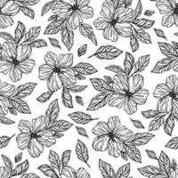 monocromatico fiori ibisco senza soluzione di continuità modello vettore illustrazione