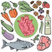 cuore Salute cibo umano dieta nutrizione vettore illustrazione