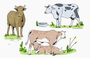 Bestiame nell'illustrazione disegnata a mano di vettore dell'azienda agricola