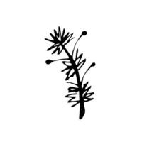 vettore impostato di scarabocchio disegnato a mano fiori. collezione di moderno linea illustrazioni.