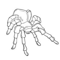 vicino su macro tiro di un' ragno nel lineare stile vettore illustrazione. continuo uno linea disegno di ragno silhouette isolato su bianca sfondo. ragno per sfondo, logo o tatuaggio.