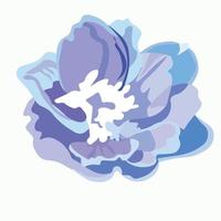 delfinio o larkspur viola fioritura fiori isolato su bianca sfondo. elegante dettagliato botanico disegno di selvaggio fioritura pianta. mano disegnato realistico vettore illustrazione