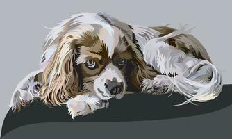 carino cocker spaniel cane isolato su pop arte stile. vettore illustrazione.