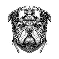 steampunk bulldog testa è un' unico miscela di Vintage ▾ e futuristico elementi, con ingranaggi, tubi, e rivetti quello creare un' meccanico bulldog vettore