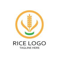 risaia pianta logo, riso grano logo, riso, naturale biologico agricoltura, per affari,azienda,agricoltura,prodotto,fattoria negozio, agricolo attrezzature, riso magazzino, con moderno minimalista vettore