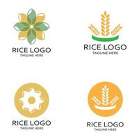risaia pianta logo, riso grano logo, riso, naturale biologico agricoltura, per affari,azienda,agricoltura,prodotto,fattoria negozio, agricolo attrezzature, riso magazzino, con moderno minimalista vettore