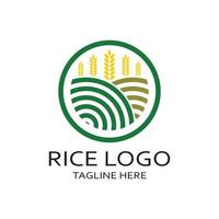 risaia pianta logo, riso grano logo, riso, naturale biologico agricoltura, per affari,azienda,agricoltura,prodotto,fattoria negozio, agricolo attrezzature, riso magazzino, con moderno minimalista vettore