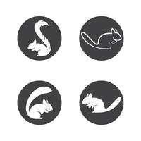 insieme dell'illustrazione di immagini di logo dello scoiattolo vettore